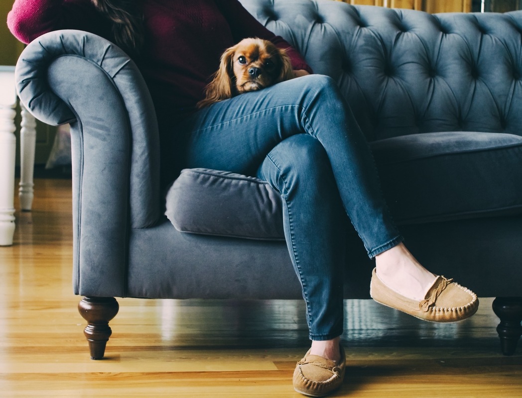 Woman sitting on sofa with a dog