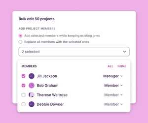 Bulk-enable Project Managers to grant access to project data feature image
