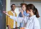 Image of a team in an office