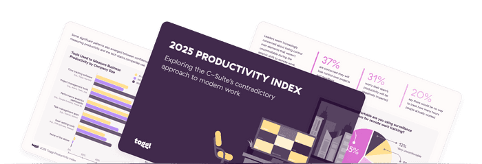 Screenshot of the Productivity Report Index