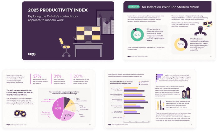 Screenshot of the Productivity Report Index