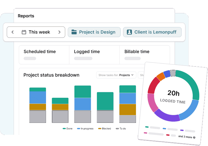 Toggl Focus reports that will help with capacity and project planning