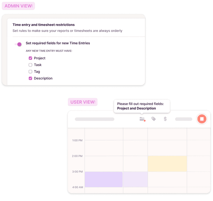 Screenshot of required fields for time entries